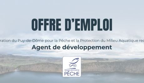 offre d'emploi