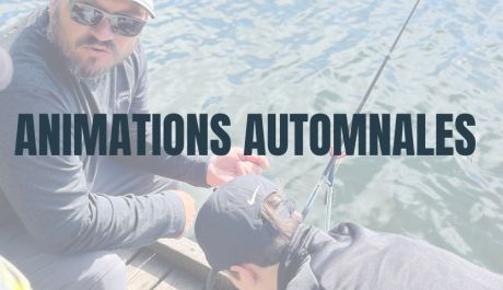ANIMATIONS AUTOMNALES